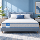 TrueOrtho® Smart Series Orthopedic Mattress | Medium-Firm Memory Foam – Mattressoo